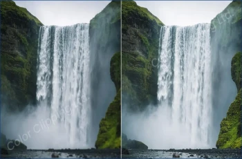 What is Focus Stacking & How to Focus Stack in Photoshop Feature Image