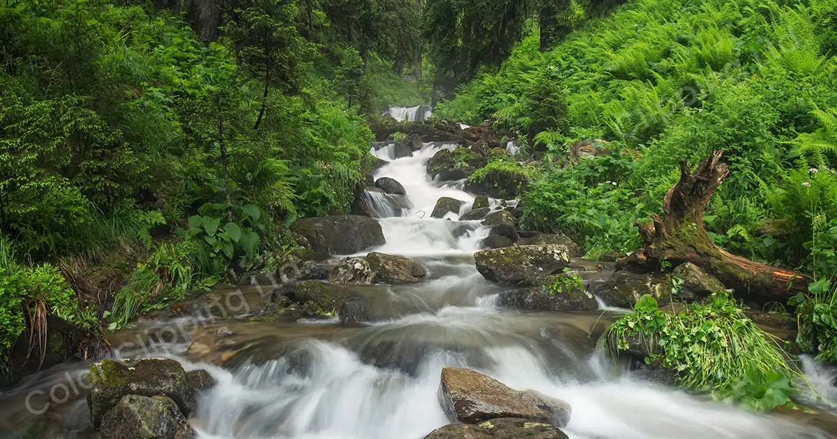 Pourquoi devriez-vous faire du Focus Stacking