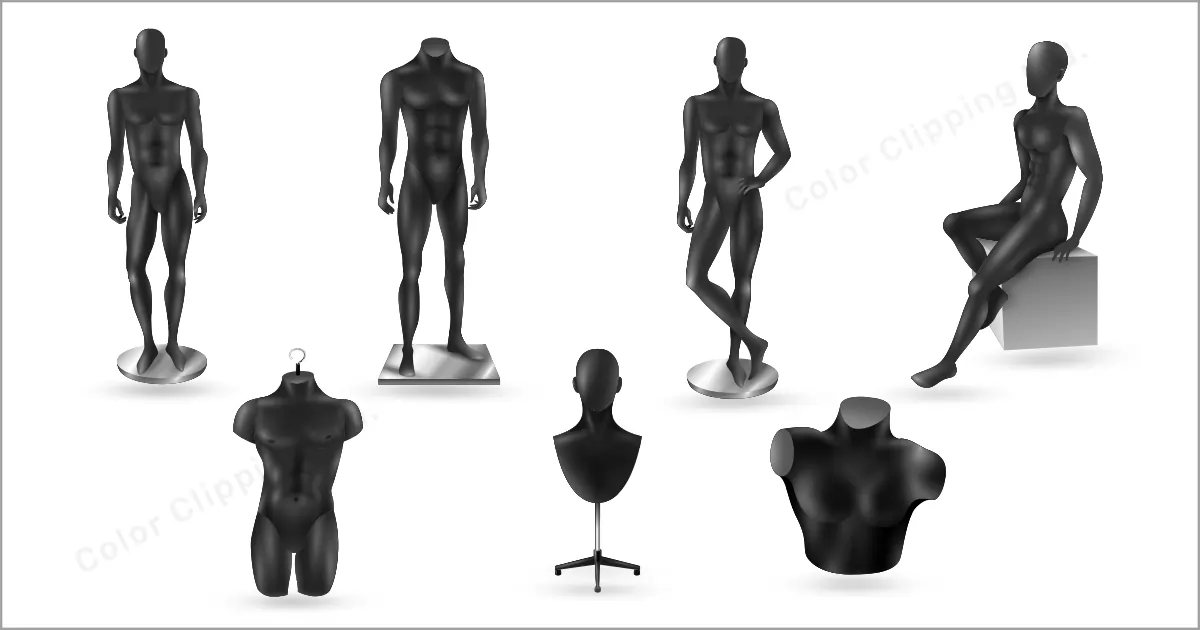 Types Of Mannequin