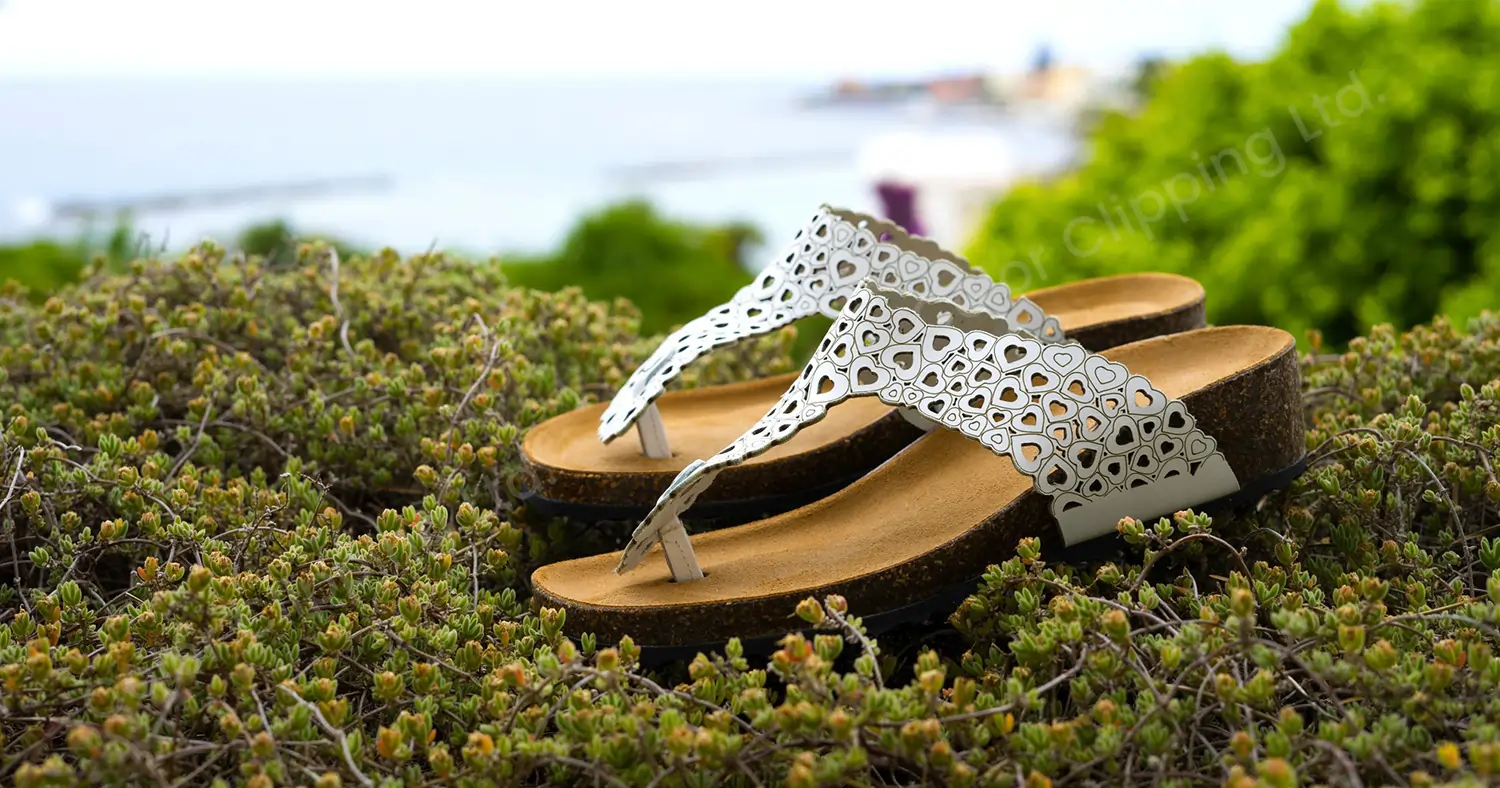 pair-of-shoes-in-nature